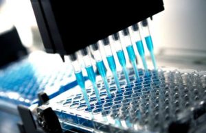 Xilio Therapeutics (XLO): обзор деятельности компании и её акций
